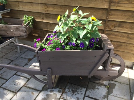 bloemen kruiwagen