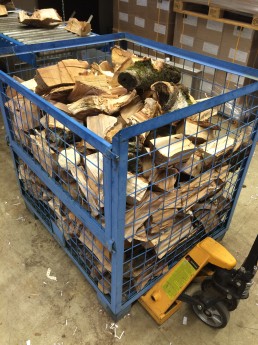 Hout 3.JPG