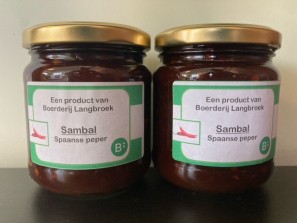 sambal)