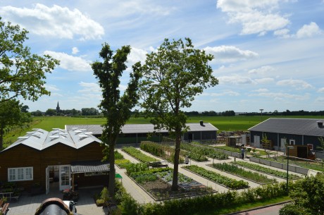 luchtfoto boerderij