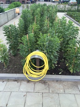 Moestuin  (3).JPG