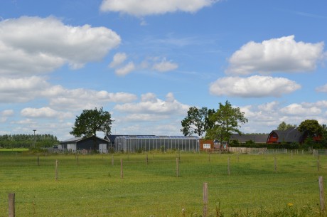 boerderij vanaf ventweg